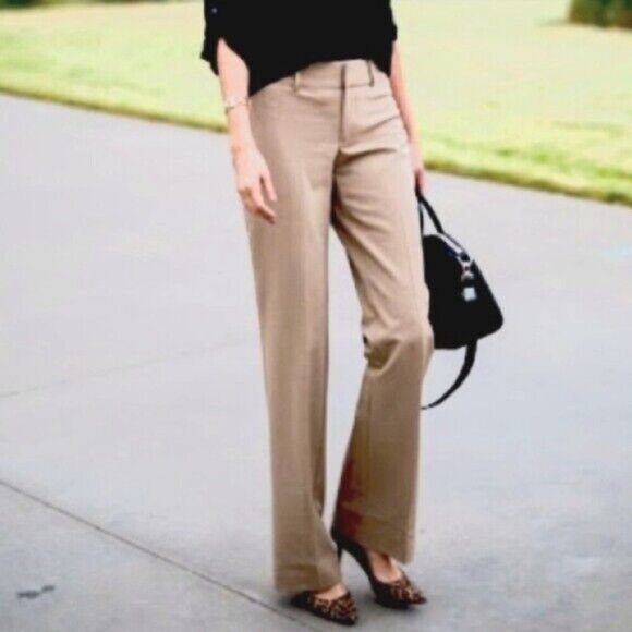 NWT Talbots Women's SZ 10-L Brown Zip Button Front Pockets Heritage Pants Career - Picture 1 of 12